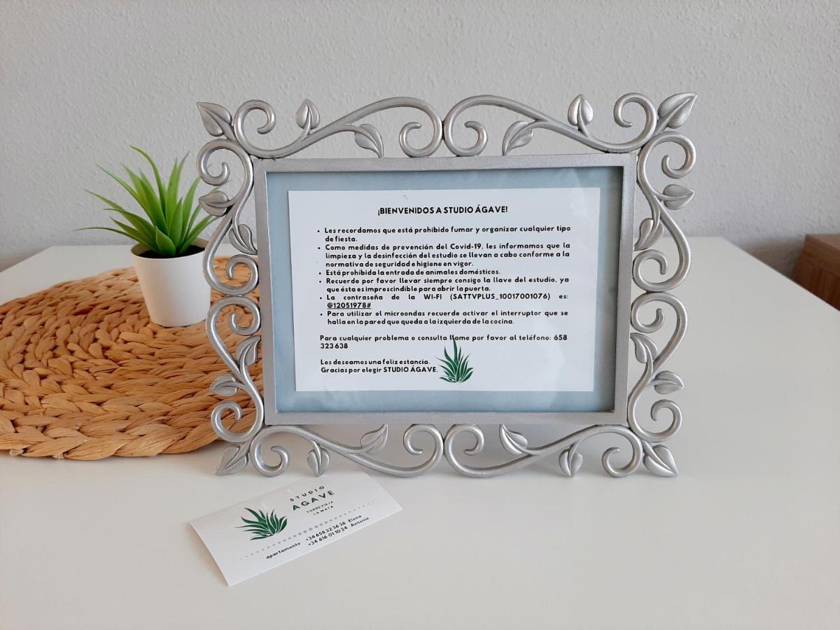 Studio Agave Apartment Torrevieja Bagian luar foto